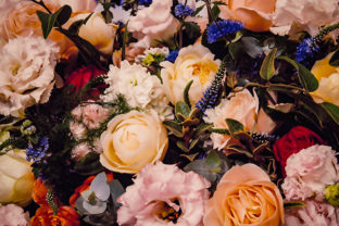 Modern Flower Photography for Creative Projects